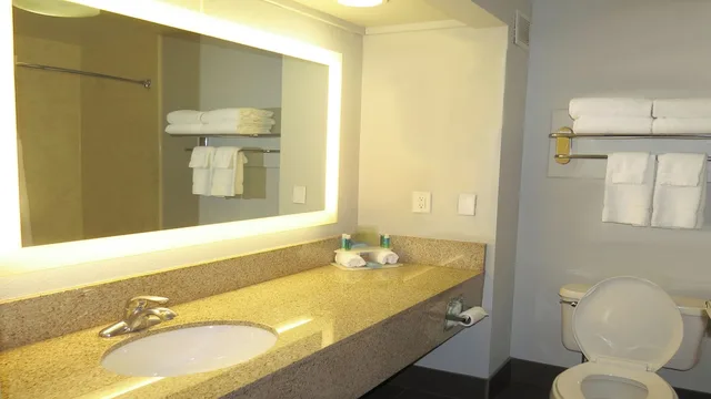 Suite, King Bed, Sofa, Holiday Inn Express Hotel Suites Oxford 4/4