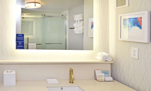 Suite, King Bed, Kitchen, Hampton Inn Santee-I-95 3/3