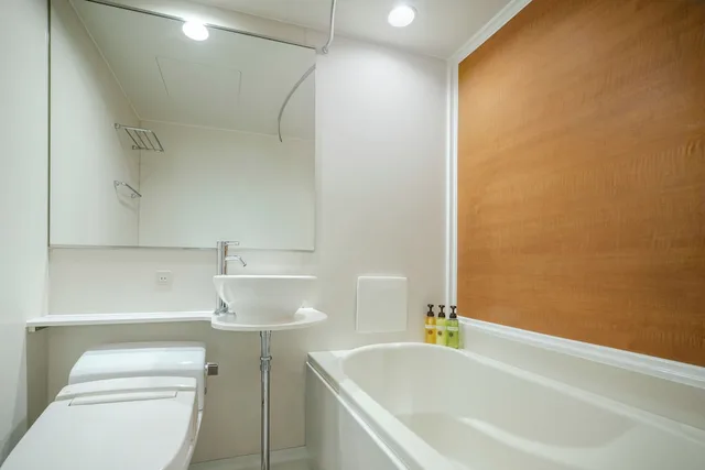 Renovated, Semi Room, Standard, Single Bed, Hotel Mystays Nagoya Sakae 3/3