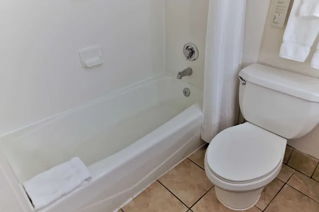 Classic, 2 Double Beds, Wyndham Garden Summerville 10/10