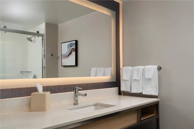 جناح تنفيذي بسرير كينج بغرفة نوم واحدة مع أريكة، Hilton Garden Inn Washington DC/Greenbelt 2/2
