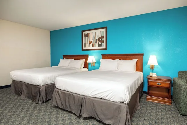 غرفة أساسية مفردة، Branson Waterpark Hotel 2/4