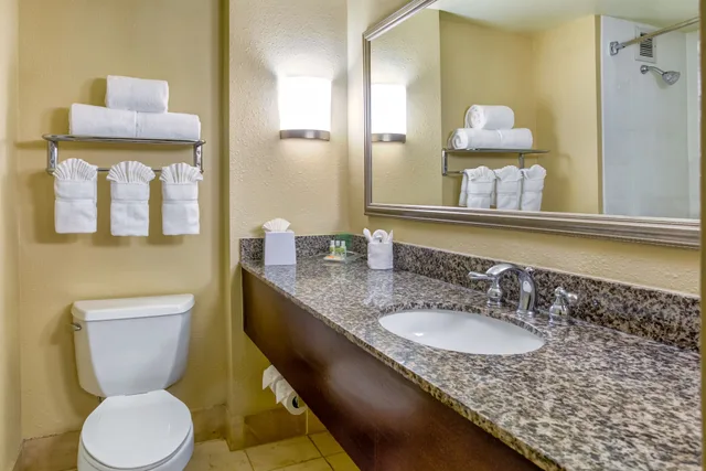 جناح بسرير كينج بغرفة نوم واحدة، Holiday Inn Indianapolis North Carmel 3/5