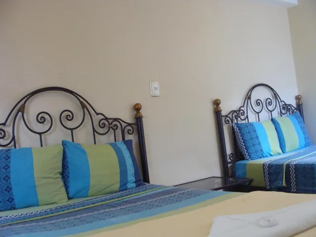 غرفة قياسية بسريرين منفصلين، Villa Florencia Centro Hotel 4/5