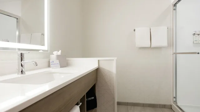 Suite, King Bed, Holiday Inn Express And Suites Monterrey Sendero 8/10
