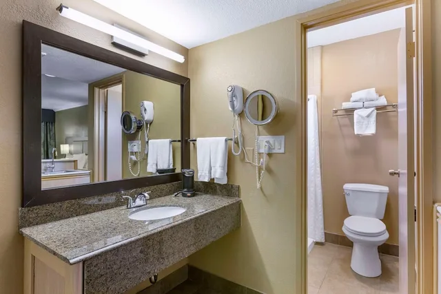 Signature, King Bed, Sofa, Royal Sun Inn & Suites 4/5