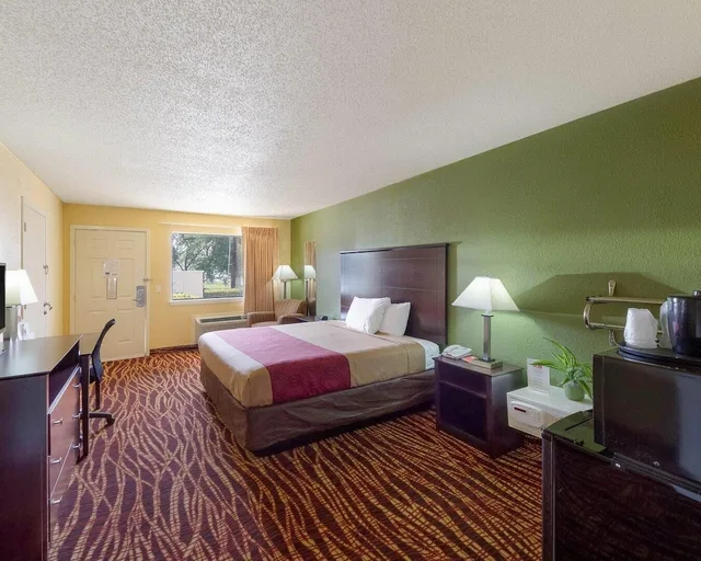 غرفة بسرير كينج لذوي الإعاقة، Econo Lodge Inn & Suites San Antonio near Frost Bank Center 3/3