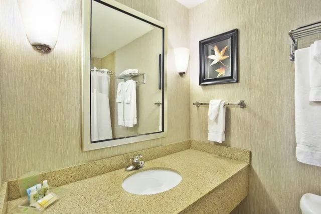 جناح بسرير كينج لذوي الإعاقة، Holiday Inn & Suites Green Bay Stadium 2/3