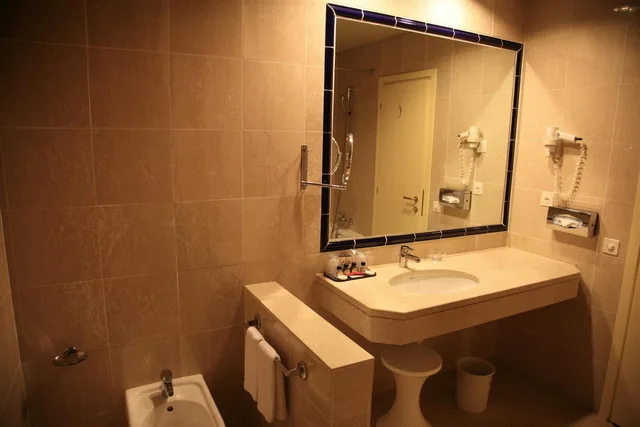غرفة سوبيريور مفردة، Hotel De La Paix 4/6