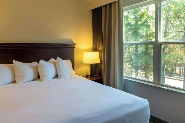 جناح بسرير كينج بغرفة نوم واحدة لذوي الإعاقة، Country Inn & Suites By Radisson, Doswell (Kings Dominion), VA 5/8
