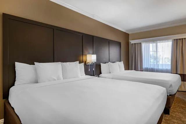جناح عائلي بسريرين كوين مع أريكة بمنطقة جلوس، Comfort Inn & Suites Huntington Beach 3/10