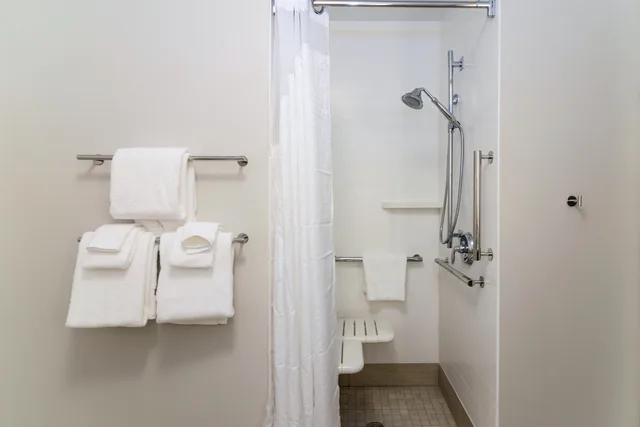 غرفة قياسية بسرير كينج لذوي الإعاقة، Holiday Inn Express Suites Allen Park 6/6