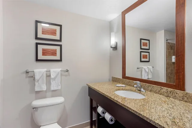 غرفة بسرير كينج، Comfort Inn & Suites Sayre, PA 6/7