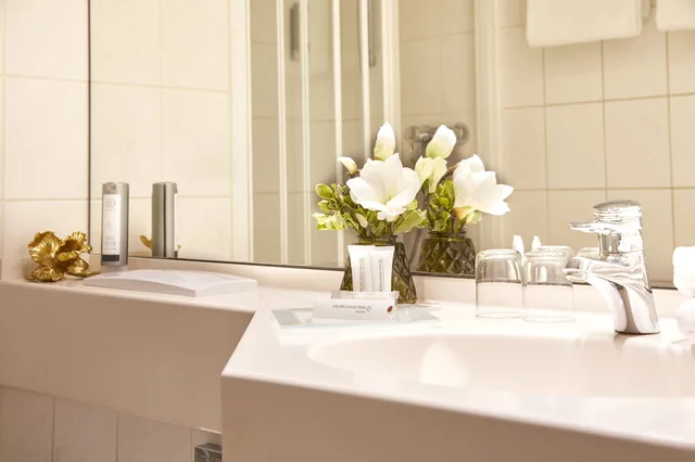 غرفة كلاسيكية بسرير مزدوج بإطلالة على المدينة، Das Carls Hotel 4/5