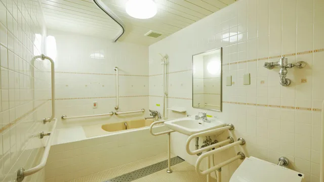 Universal, Pet Friendly, Bathtub, Accessible، Kamenoi Hotel Shiobara (ex Kanponoyado Shiobara) 1/1