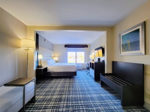 غرفة قياسية بسرير كينج لذوي الإعاقة، Holliday Inn Belcamp Aberdeen Area Ex Wingate By Wyndham Aberdeen Edgewood 4/10
