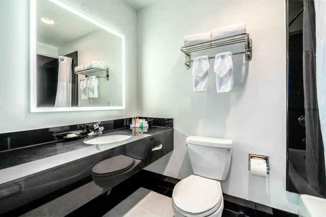 غرفة بسرير كينج لذوي الإعاقة، Century Park Hotel 2/2