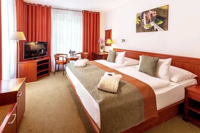 غرفة قياسية بسرير مزدوج، Spa & Wellness Hotel Olympia Marienbad 1/5