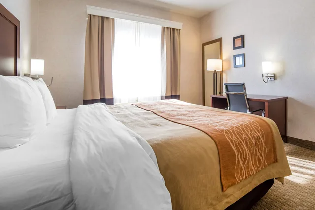 غرفة قياسية بسرير كينج، Comfort Inn Elko 6/8