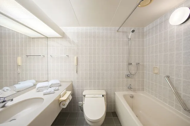 Classic, Twin Beds, City Side, Sofa، Grand Mercure Sapporo Odori Park 6/6