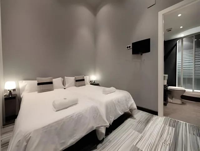 غرفة بسريرين منفصلين، Hostal Boutique Khronos 1/1