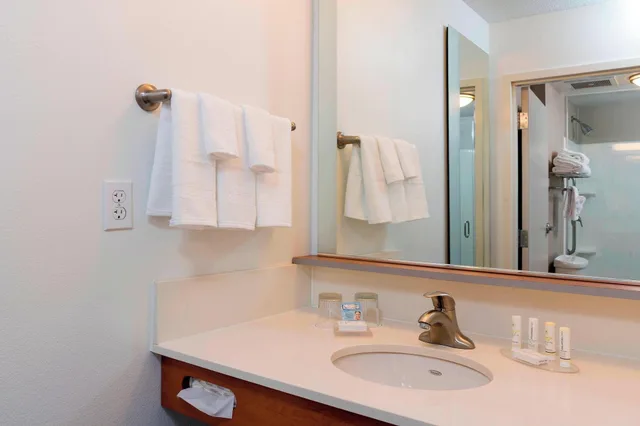 Studio, Multiple Beds, Accessible، SpringHill Suites Detroit Auburn Hills 3/4