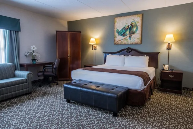 جناح بسرير كينج بغرفة نوم واحدة مع أريكة، D. Hotel and Suites 3/8