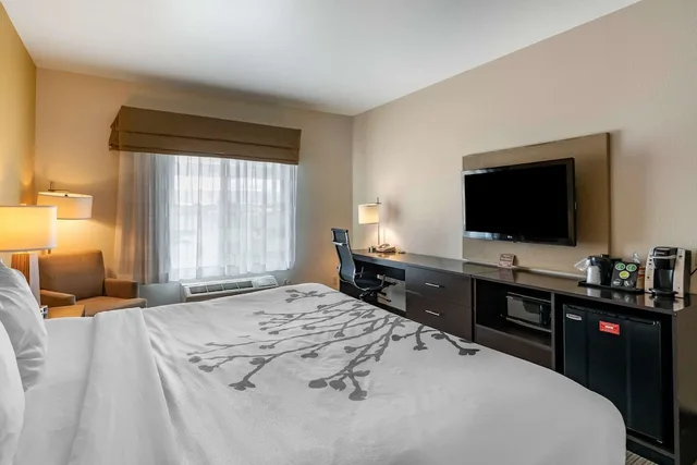 غرفة قياسية بسرير كينج، Sleep Inn & Suites Miles City I-94 1/2