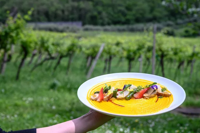 Massimago Wine Relais، فيرونا 16/50