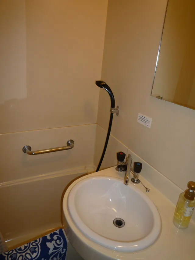 غرفة مفردة، Hotel Shiga Sunvalley 8/8