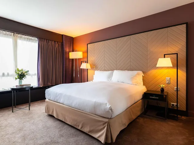 غرفة فاخرة بسرير كينج بإطلالة لذوي الإعاقة، Sofitel Strasbourg Grande Ile Hotel 2/10