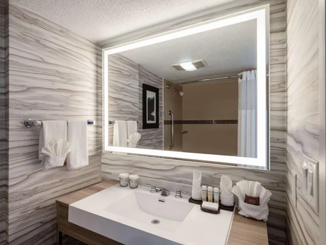 جناح بسرير مزدوج بغرفة نوم واحدة لذوي الإعاقة، Embassy Suites By Hilton Baltimore Hunt Valley 3/4