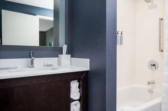 استوديو بسرير كينج مع أريكة لذوي الإعاقة، Residence Inn by Marriott Decatur Emory Area 2/3