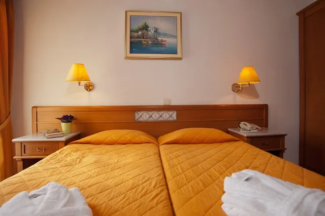 غرفة قياسية مفردة بسرير مزدوج، Acropole Delphi Hotel 3/9