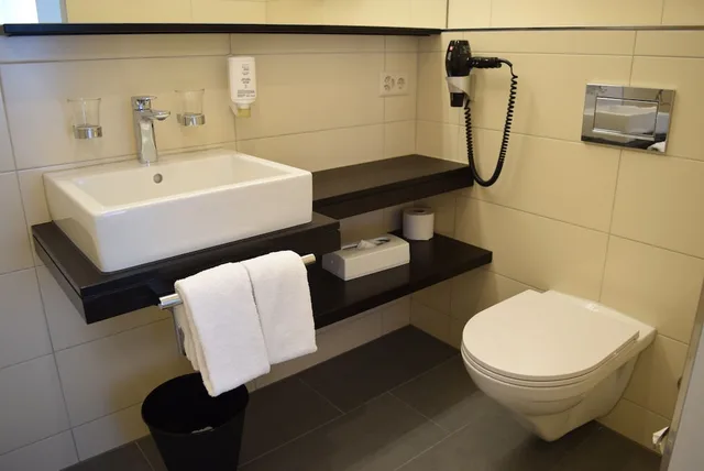 غرفة بزنس كلاسيكية، Hotel Alpina Luzern 8/10