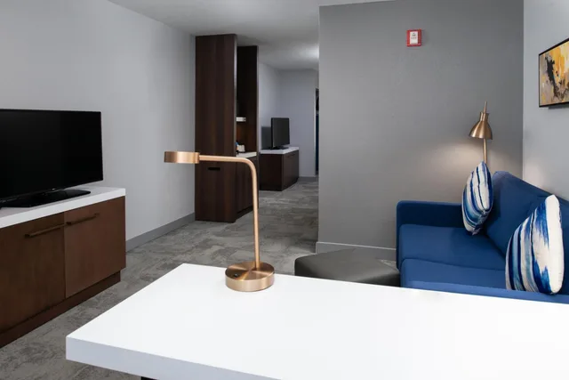 Junior Suite, King Bed, Sofa, Accessible, Hilton Garden Inn Baton Rouge Airport 5/5