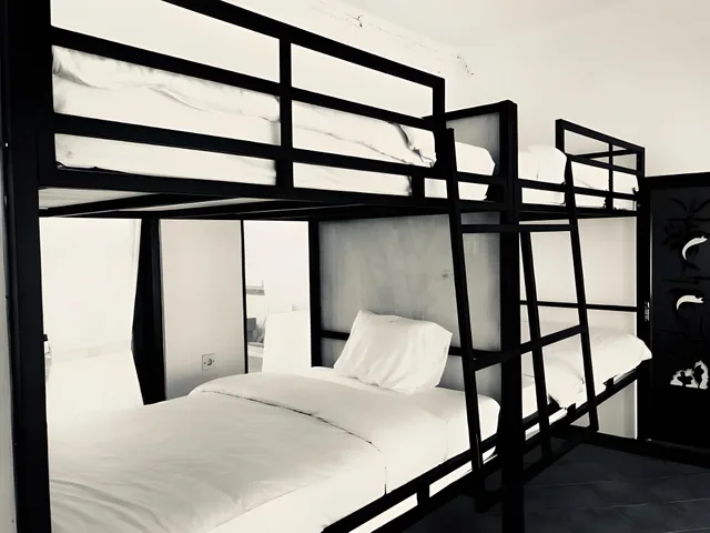 Mixed Dorm, 8 Beds, D'uma Residence 1/2