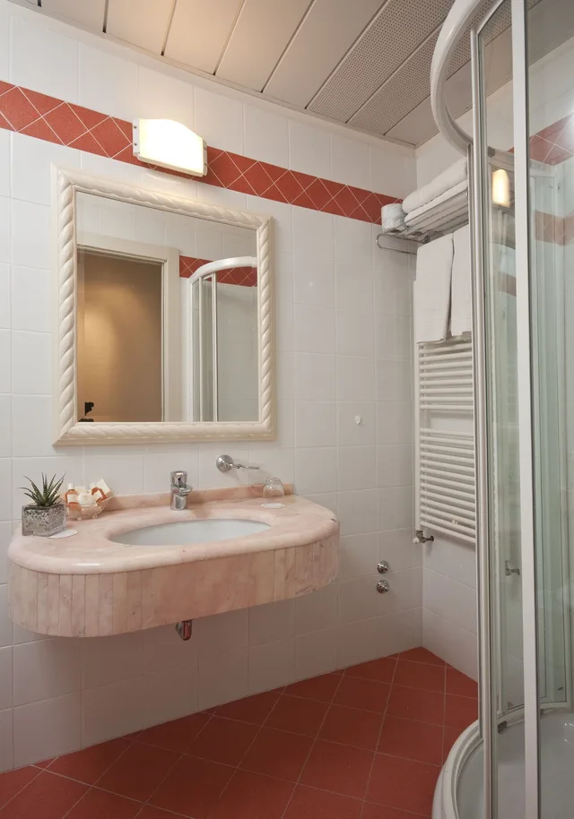 غرفة كلاسيكية بسرير مزدوج أو سريرين منفصلين، Grand Hotel Gallia 6/6