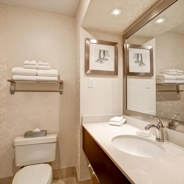 Suite, King Bed, Sofa, Holiday Inn Suites Windsor Ambassador Bridge 9/10