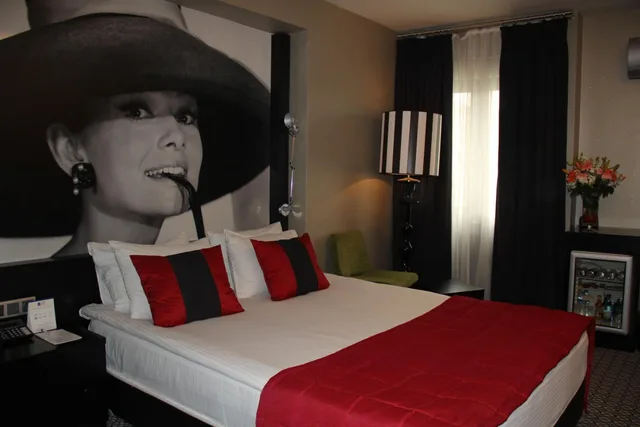 غرفة قياسية بسرير مزدوج أو سريرين منفصلين، Maltepe 2000 Hotel 8/10