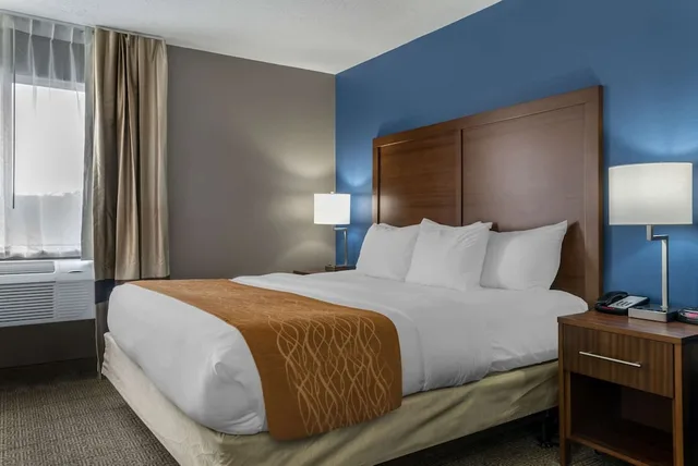 Standard, King Bed, Comfort Inn East 1/4