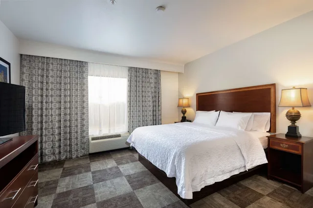 جناح بسرير كينج، Hampton Inn and Suites Baton Rouge I 10 East 1/1