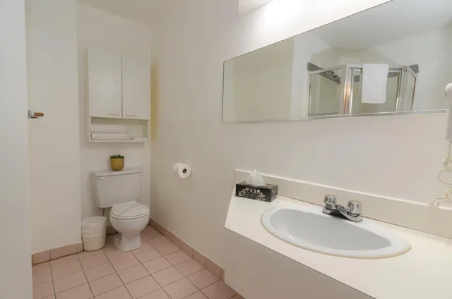 غرفة قياسية بسرير كوين، Hotel Dorion 7/8