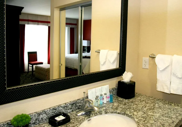 جناح استوديو بسرير كينج مع أريكة، Hampton Inn and Suites Salt Lake City / Univ Foothill Dr UT 2/4