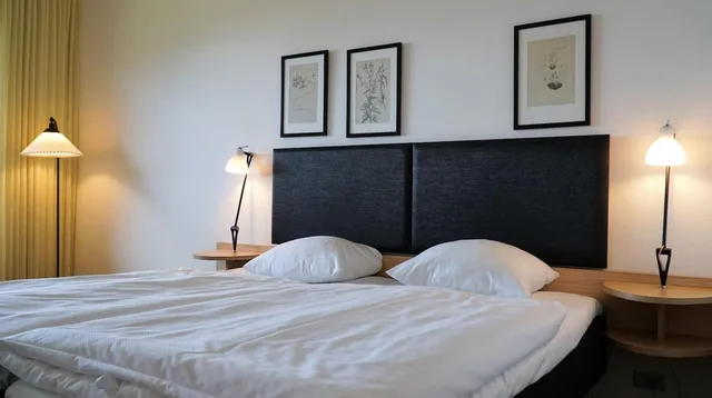 Room, Single, Partial Fjord View، Munkebjerg Hotel 7/10