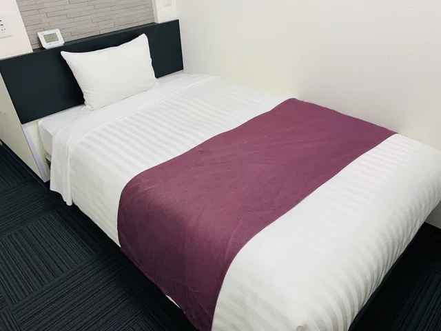 غرفة بسرير نصف مزدوج، Ueno Urban Hotel 4/5