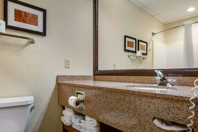 جناح بسرير كينج، Comfort Suites Hotel and Conference Center, Berlin OH 2/2