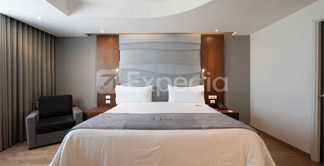 Tower, Junior Suite, Deluxe, King Bed، HS HOTSSON Hotel Silao 1/3