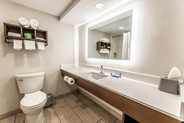 Standard, King Bed, Living Area, Holiday Inn Express Indianapolis South 10/10