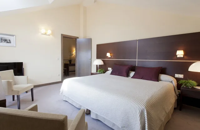 Duplex, Suite, Twin Beds, Cathedral View, Rice Palacio de Los Blasones 1/2